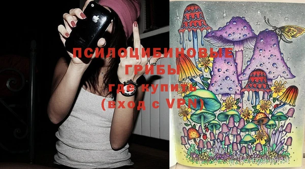 дмт Медвежьегорск