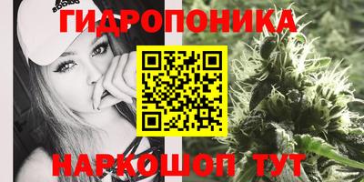 ешки Волжский