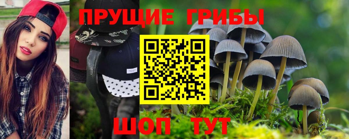 Новотроицк  Галлюциногенные грибы прущие грибы  Галлюциногенные грибы Cubensis  Вход с VPN 