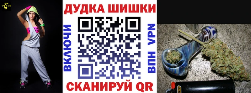 дарнет шоп  Новотроицк  площадка клад  Канабис ГИДРОПОН 